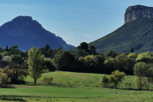 PicSaintLoup_img3