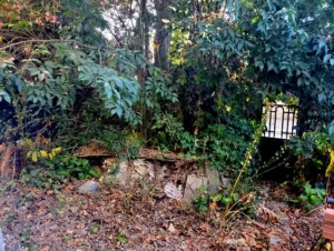 Hortus Vivant Jardin 2