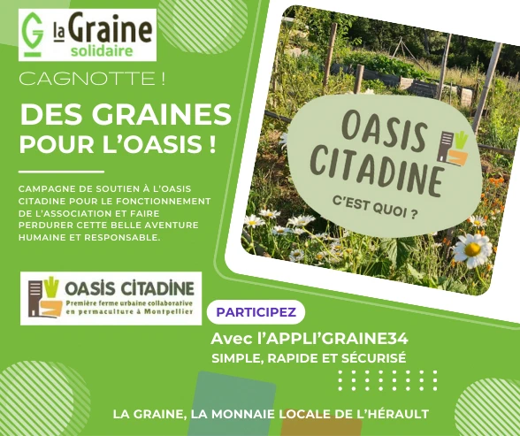 Lire la suite à propos de l’article Graine Solidaire, pour  l&rsquo;Oasis Citadine