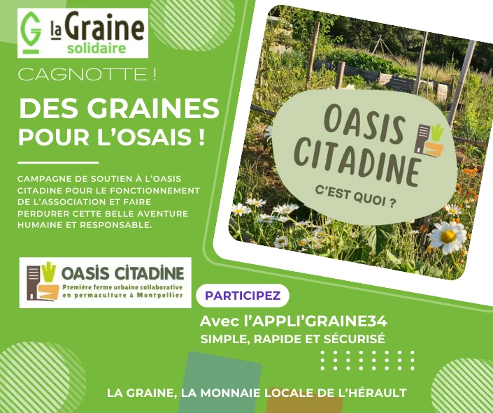 You are currently viewing Graine Solidaire, pour  l&rsquo;Oasis Citadine