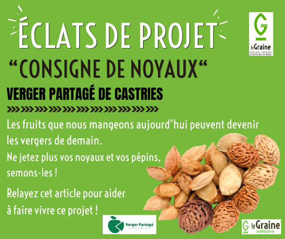 You are currently viewing Éclats de projet – Consigne de noyaux –