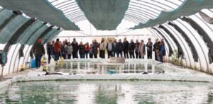 croqulavieègroupe1