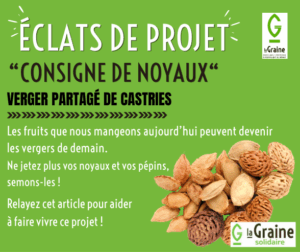 Lire la suite à propos de l’article Éclats de projet – Consigne de noyaux –